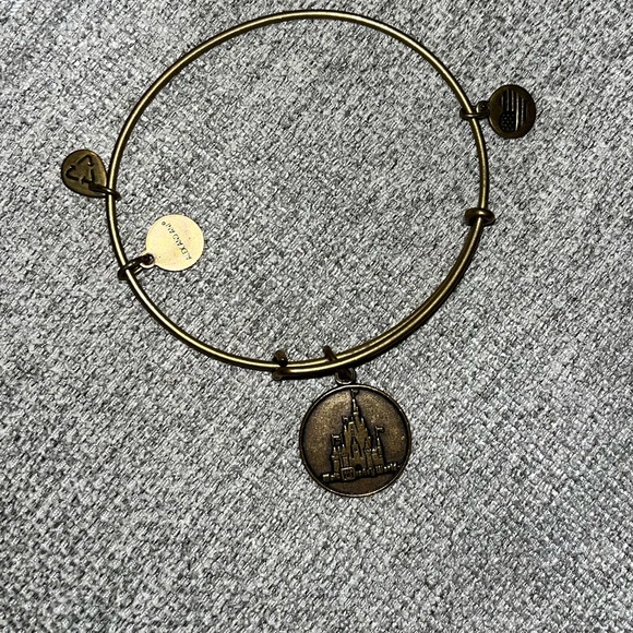 Alexi and ani bracelet : Walt Disney World - Picture 2 of 3
